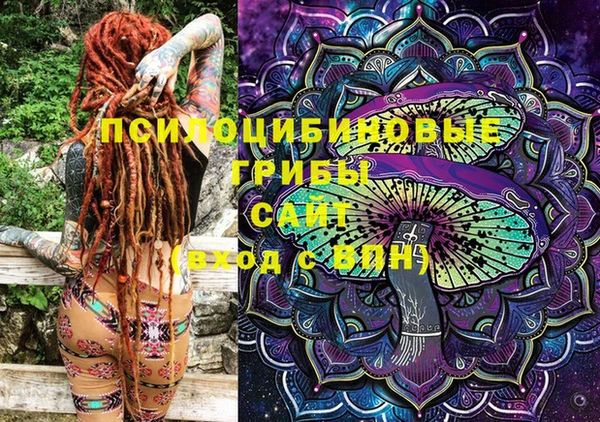 индика Горно-Алтайск