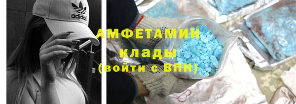 индика Горно-Алтайск
