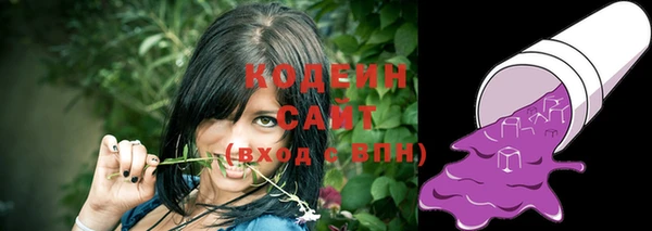 индика Горно-Алтайск
