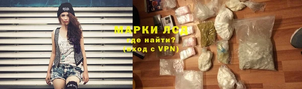 индика Горно-Алтайск