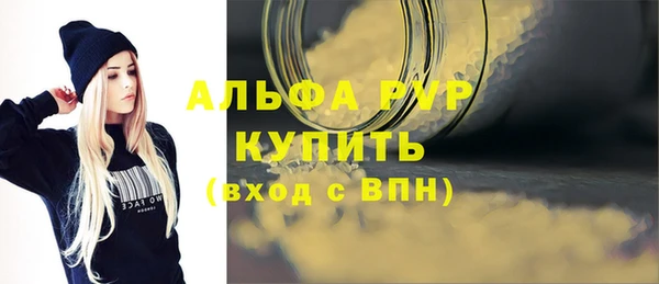 индика Горно-Алтайск