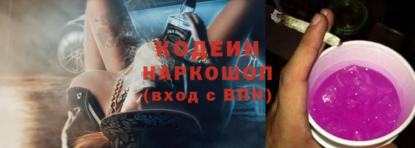 индика Горно-Алтайск
