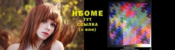 индика Горно-Алтайск