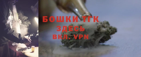 индика Горно-Алтайск